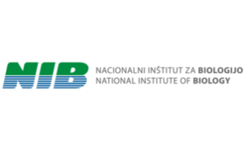 NIB logo